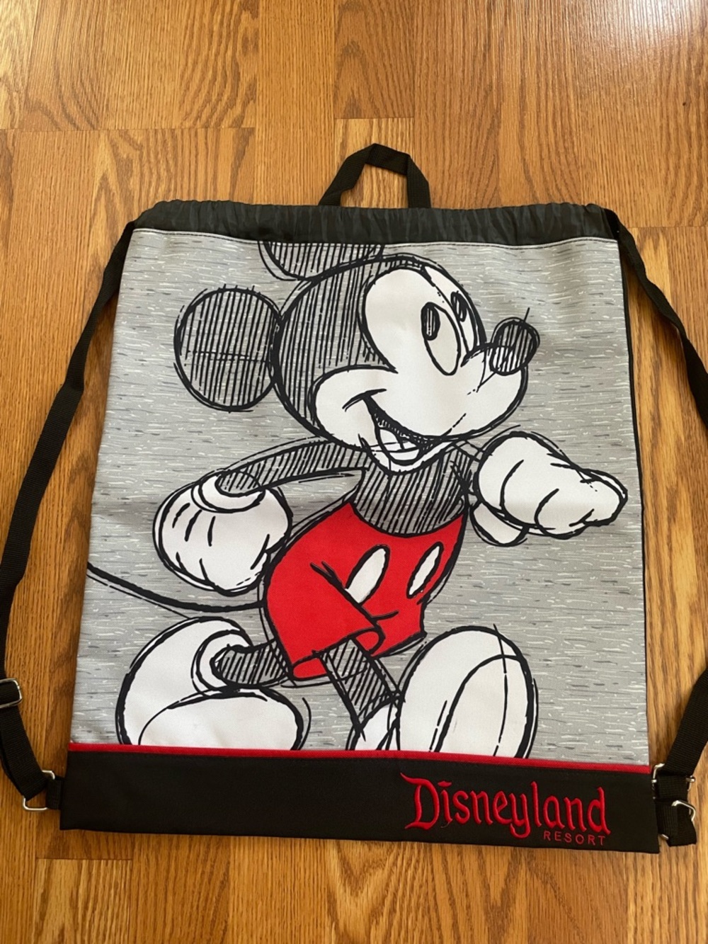 Disneyland Resort Mickey Mouse Drawstring Backpack Bag Gray Black Red